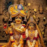 Soumi Biswas Profile Picture