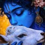 S thanujkumar Profile Picture