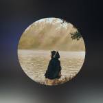 Amit Sahoo Profile Picture