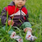 Ashok das Profile Picture