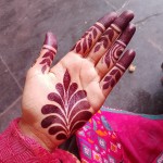 Sahida Khatoon Profile Picture