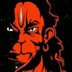 Rohit Kumar Verma Profile Picture