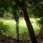 Avdhesh Goyal Profile Picture