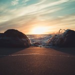 Panda Anubhav Profile Picture