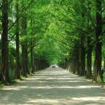 Rohini Agarwal Agarwal Profile Picture